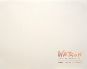 ミューズ 水彩紙 ホワイトワトソンブロック F6 300ｇ ホワイト
